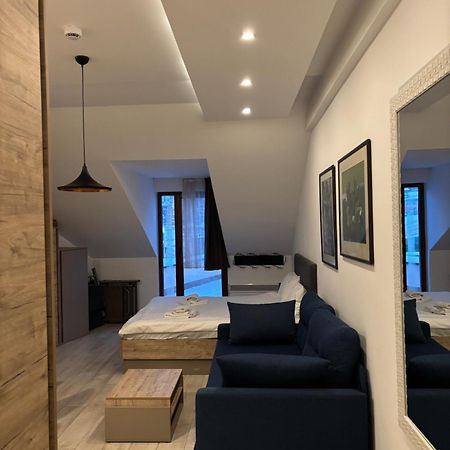 Kopaonik Apartmani Milmari - Katic Buitenkant foto